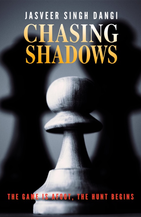Chasing Shadows: A Novel