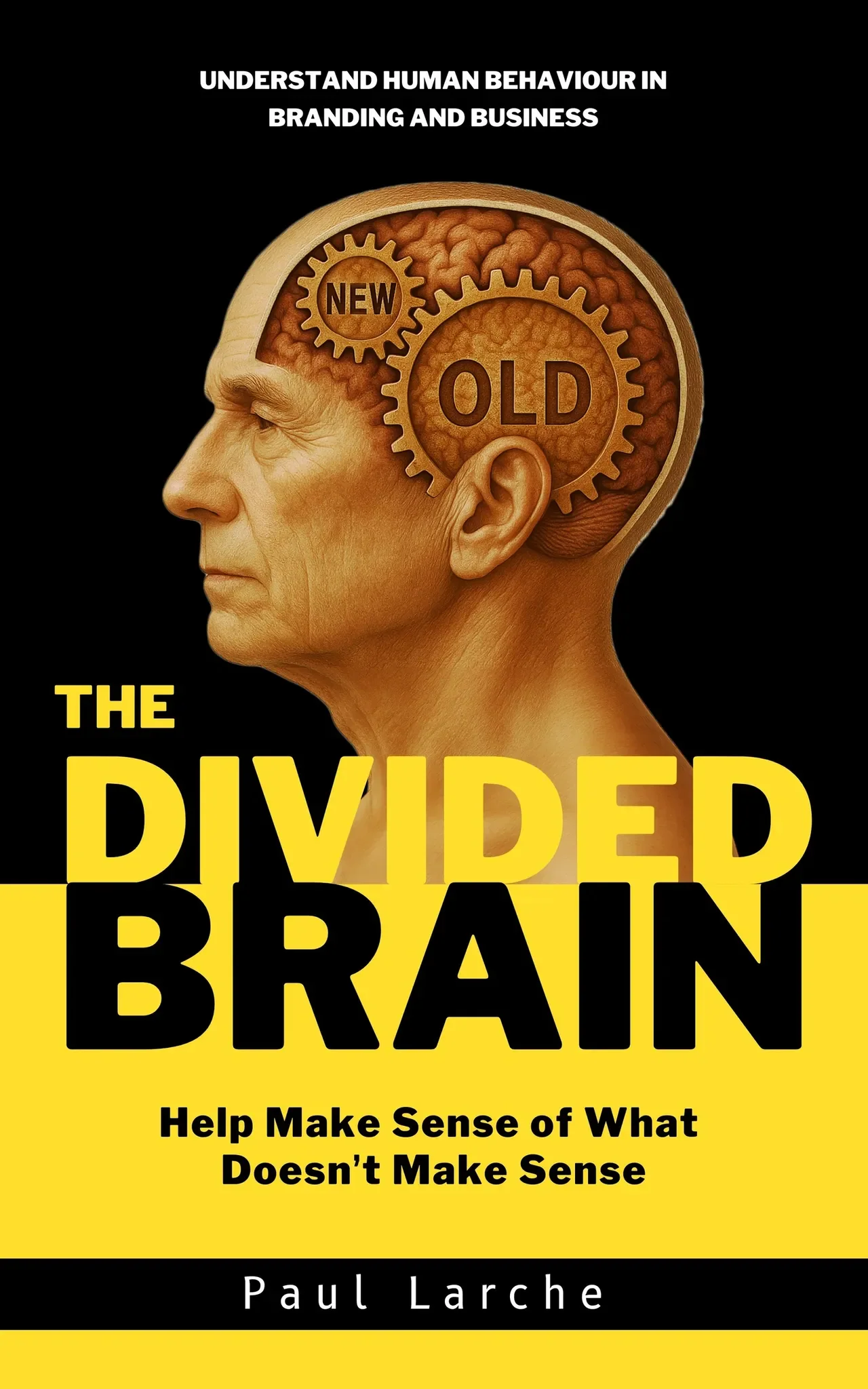 The Divided Brain: Help Make Sense of What Doesn't Make Sense