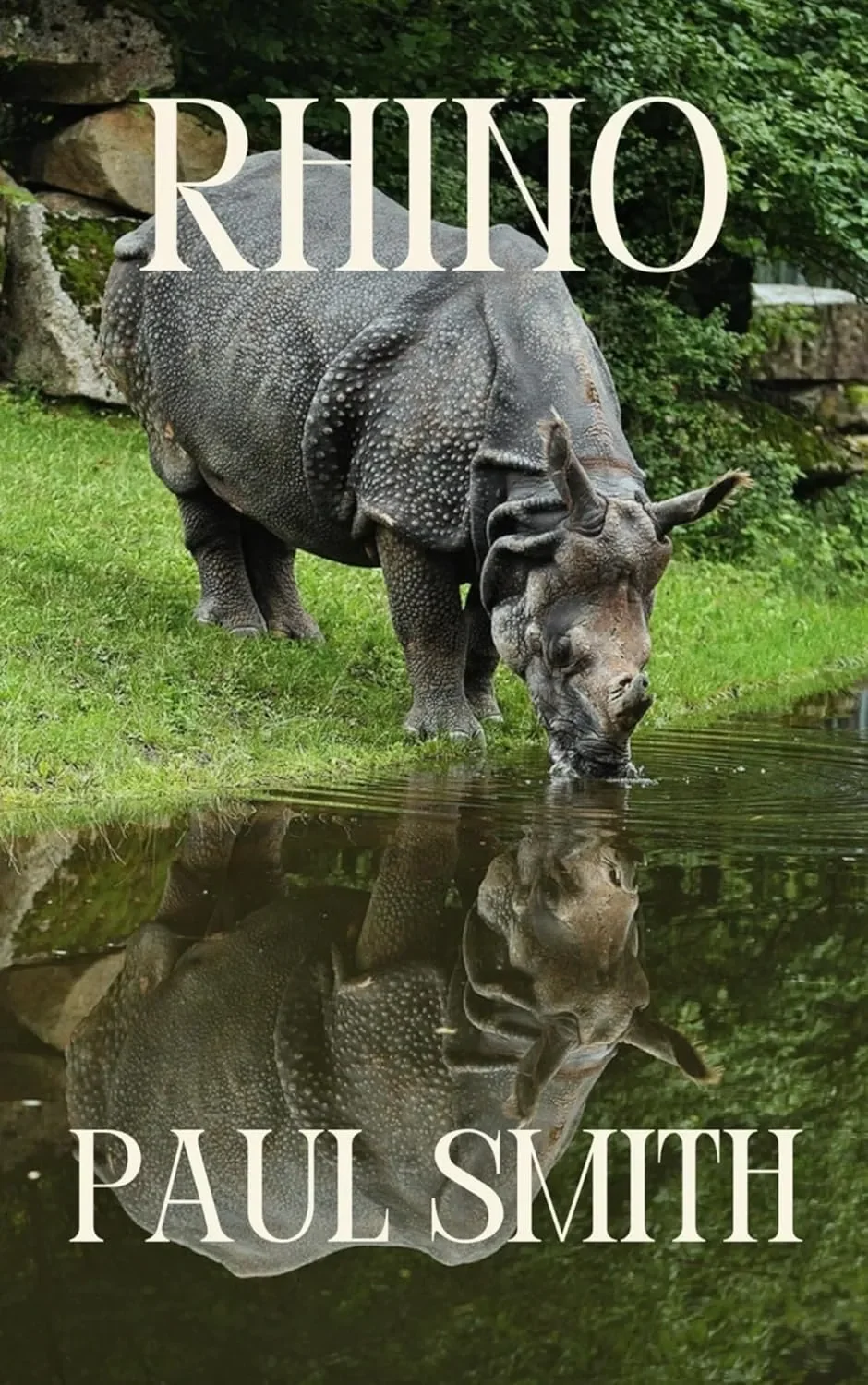 Rhino by Paul Smith