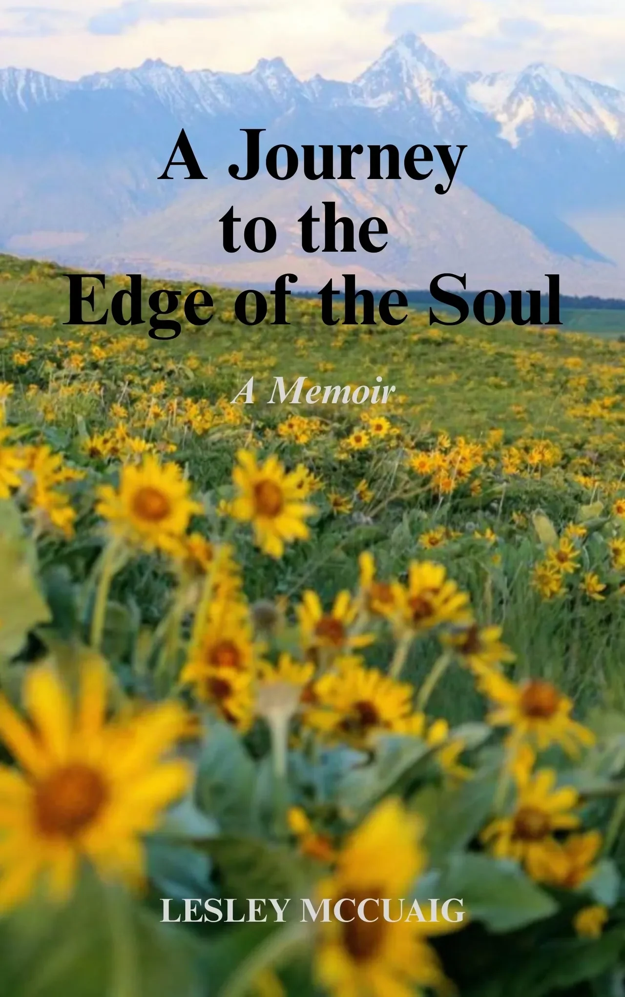 A Journey to the Edge of the Soul: A Memoir